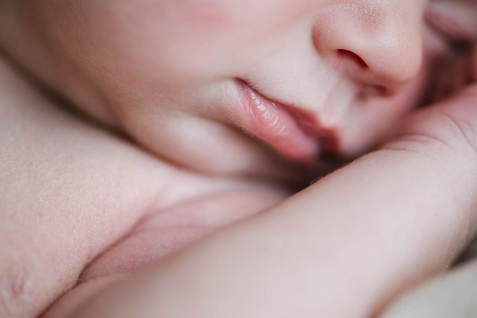 foto neonati newborn bambini verona vicenza trento
